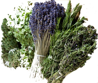 herbes-de-provence-4086721