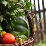 Poêlée de légumes d’été : la recette express qui sent le soleil