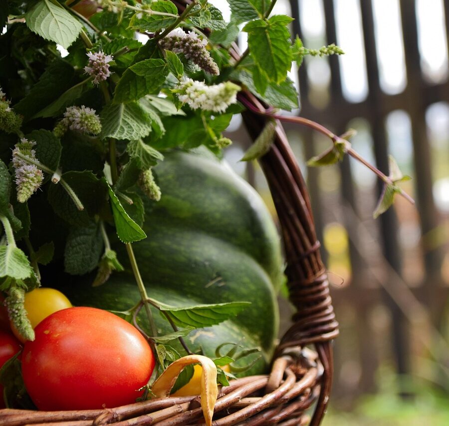 Poêlée de légumes d’été : la recette express qui sent le soleil