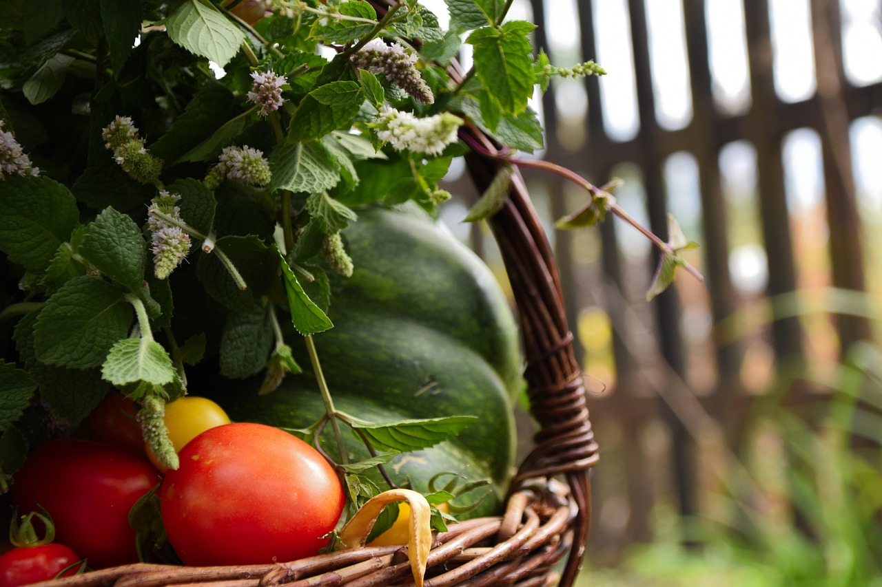Poêlée de légumes d’été : la recette express qui sent le soleil